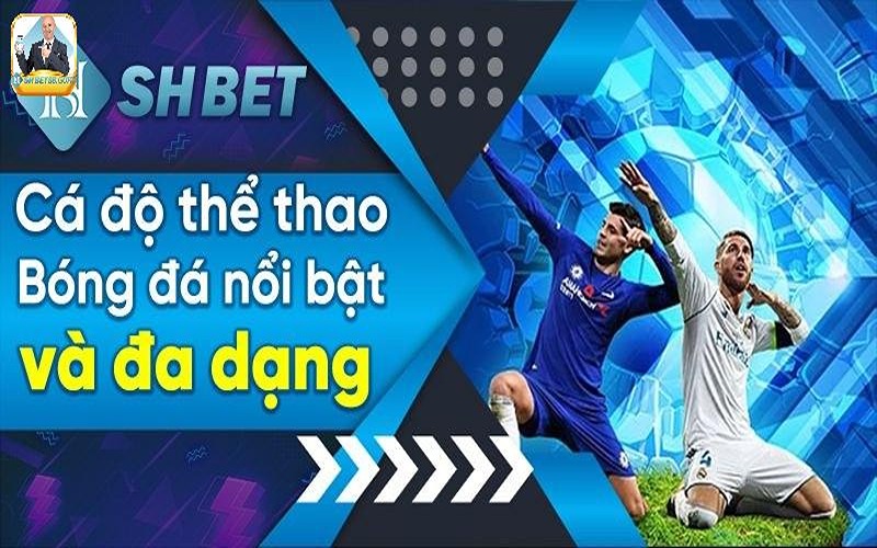 Vài nét cơ bản về thể thao Shbet